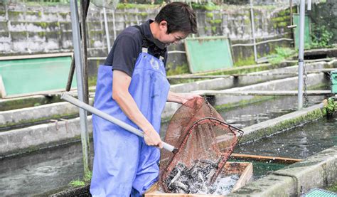 養魚 種類